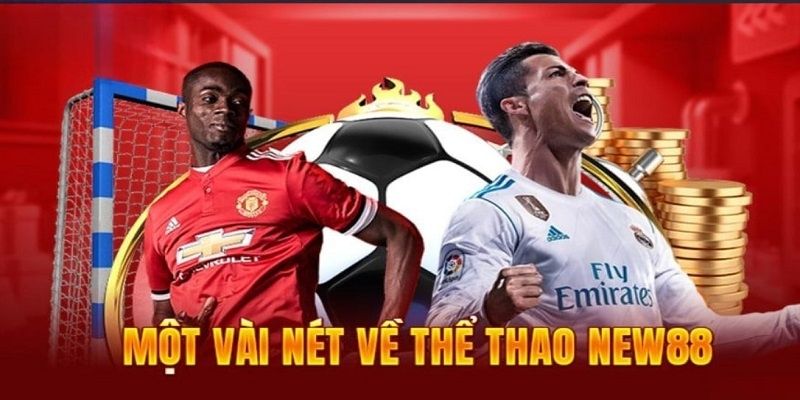 Giới thiệu thể thao New88 đầy hấp dẫn